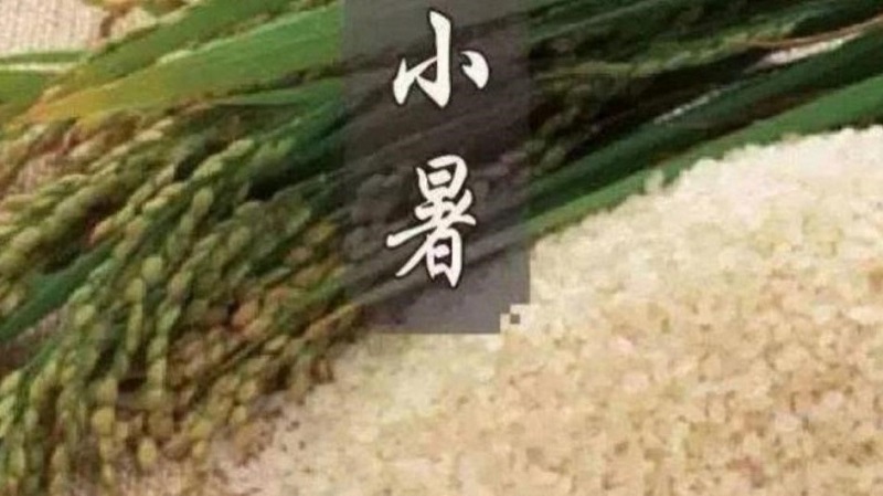 小暑3.jpg