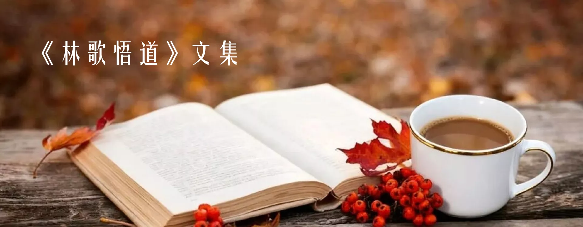 瀚林智库—公信瀚林（北京）国际科技有限公司