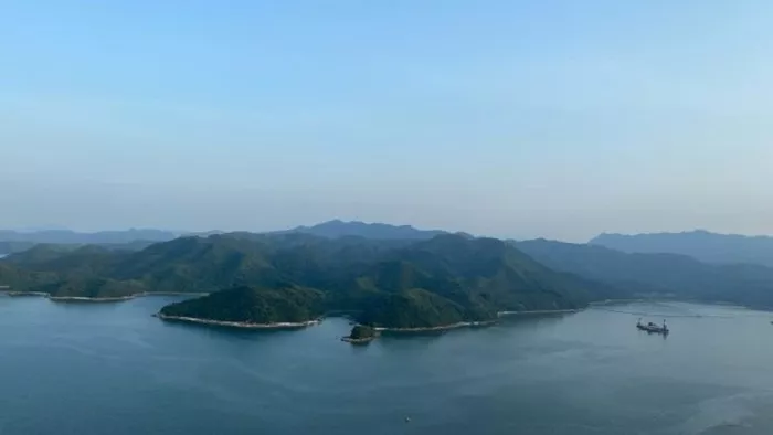 文章附图